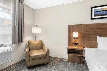 Standard Room, 1 King Bed, Non Smoking