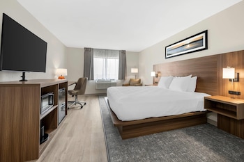Standard Room, 1 King Bed, Non Smoking