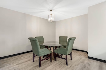 Suite, 1 King Bed with Sofa bed, Non Smoking (Efficiency, Upgrade)