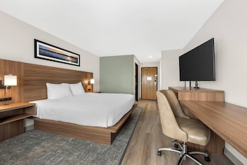 Standard Room, 1 King Bed, Non Smoking