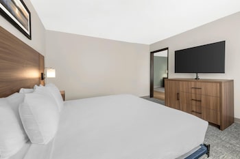 Suite, 1 King Bed with Sofa bed, Accessible, Non Smoking (Upgrade)