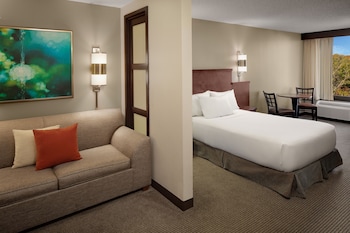 Room, 1 Double Bed, Accessible (Shower)