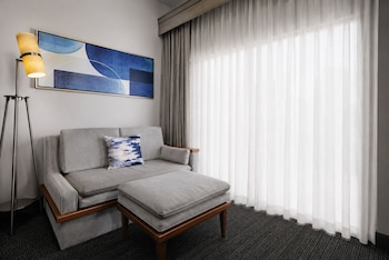 Room, 1 King Bed with Sofa bed