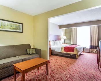 Suite, 1 King Bed, Non Smoking