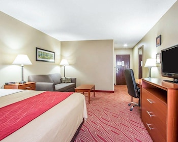 Standard Room, 1 King Bed, Non Smoking