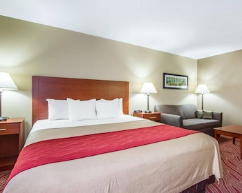 Standard Room, 1 King Bed, Non Smoking