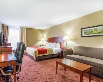 Standard Room, 1 King Bed, Non Smoking