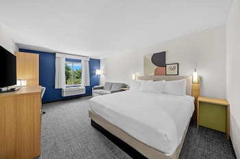 Room, 1 King Bed with Sofa bed