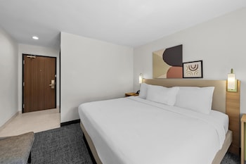Room, 1 King Bed