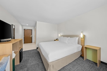 Room, 1 King Bed, Accessible, Bathtub (Mobility & Hearing)