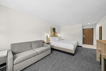Room, 1 King Bed with Sofa bed