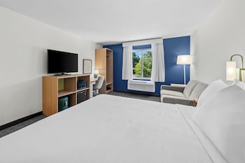Room, 1 King Bed with Sofa bed