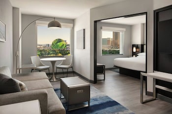 Suite, 1 King Bed with Sofa bed
