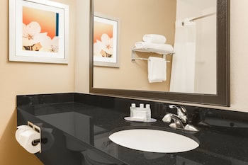 Executive Suite, 1 King Bed with Sofa bed