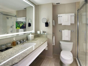 Suite (King Bed)