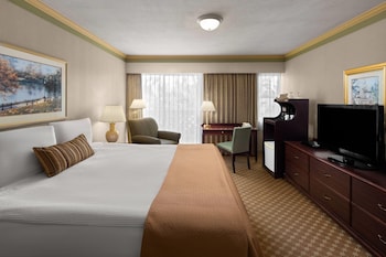 Room, 1 King Bed, Non Smoking