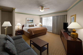 Studio Suite, 1 King Bed, Non Smoking