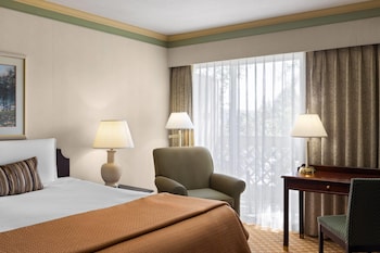 Room, 1 King Bed, Non Smoking