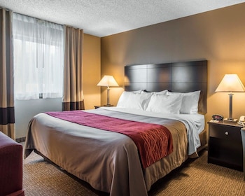 Room, 1 King Bed, Accessible, Non Smoking