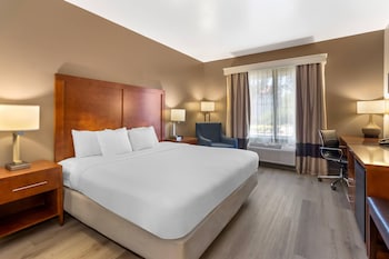 Standard Room, 1 King Bed, Non Smoking