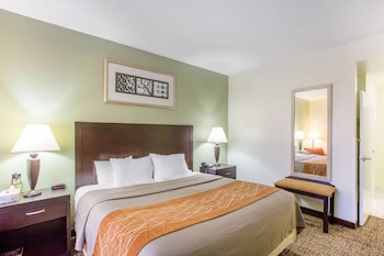 Room, 1 King Bed, Accessible, Non Smoking