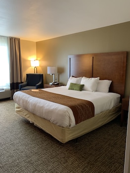 Room, 1 King Bed, Accessible, Non Smoking