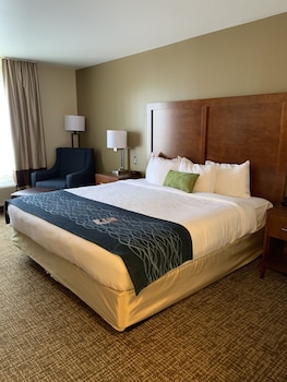 Standard Room, 1 King Bed, Non Smoking