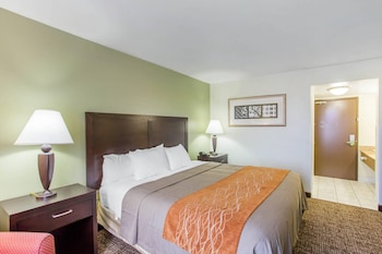 Standard Room, 1 King Bed, Non Smoking