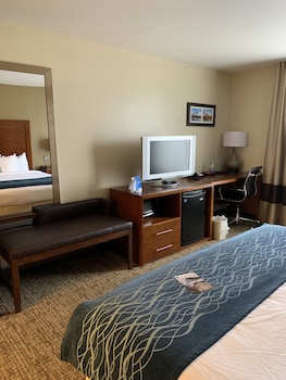 Standard Room, 1 King Bed, Non Smoking