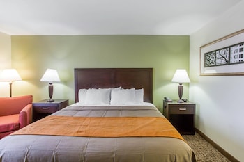 Standard Room, 1 King Bed, Non Smoking