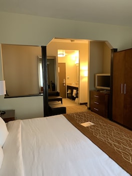 Suite, 1 King Bed, Non Smoking