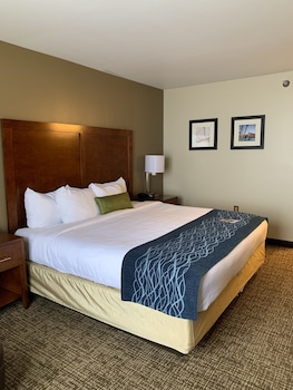 Standard Room, 1 King Bed, Non Smoking