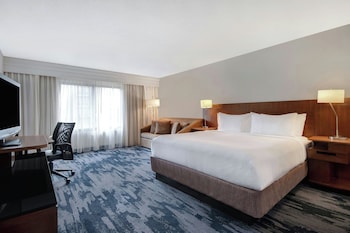 Room, 1 King Bed with Sofa bed