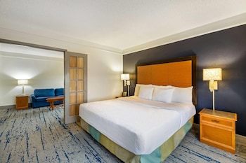 Suite, 1 Bedroom, Non Smoking