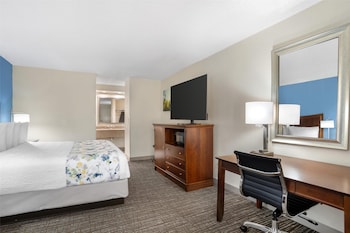 Standard Room, 1 King Bed, Non Smoking, Refrigerator & Microwave
