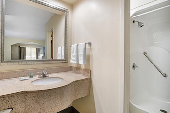 Suite, 1 King Bed, Smoking, Refrigerator & Microwave (with Sofabed)