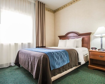 Suite, 1 Queen Bed with Sofa bed, Non Smoking (Living Room)
