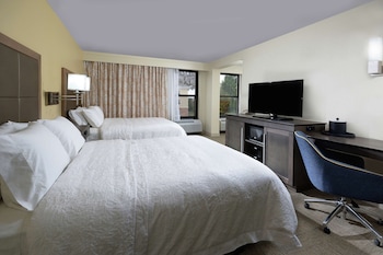 Room, 2 Queen Beds, Accessible (Roll-In Shower)