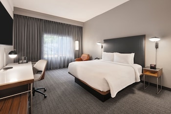 Room, 1 King Bed, Hearing Accessible (Roll-in Shower & Transfer Shower)