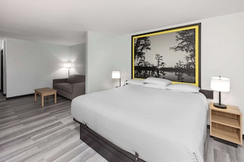 1 King Bed, Studio Suite, Non-Smoking