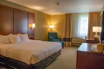 Standard Room, 1 King Bed, Non Smoking