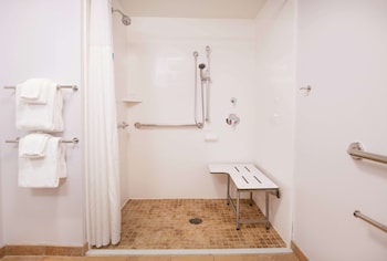 Room, 1 King Bed, Accessible (Roll-In Shower)