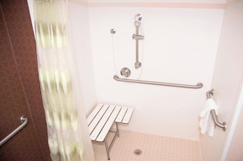 Suite, 1 King Bed with Sofa bed (Mobility/Hearing Access, Roll-In Shwr)