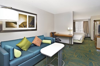 Suite, 1 King Bed with Sofa bed (Mobility/Hearing Access, Roll-In Shwr)