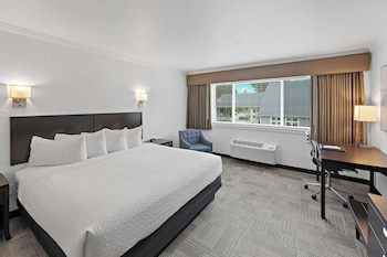 Suite, 1 King Bed, Non Smoking, Refrigerator & Microwave (with Sofabed)