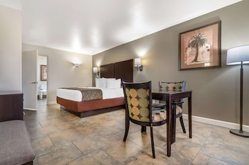 Standard Room, 1 King Bed, Accessible, Refrigerator & Microwave (1st Floor)