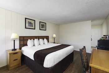 Signature Room - 1 King Bed
