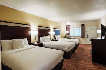 Room, Multiple Beds, Non Smoking