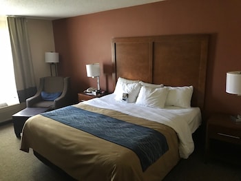 Standard Room, 1 King Bed, Non Smoking