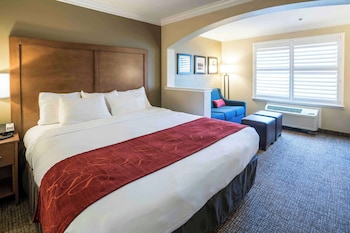 Suite, 1 King Bed with Sofa bed